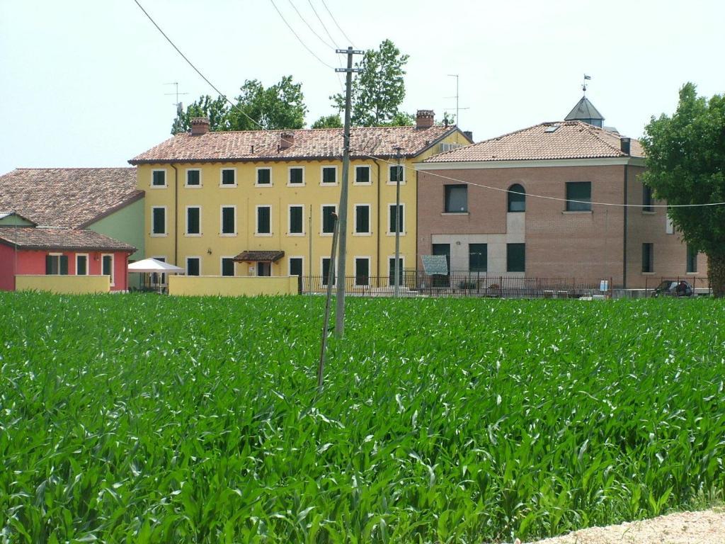 Bb Mambrotta Guest House San Martino Buon Albergo Exterior photo