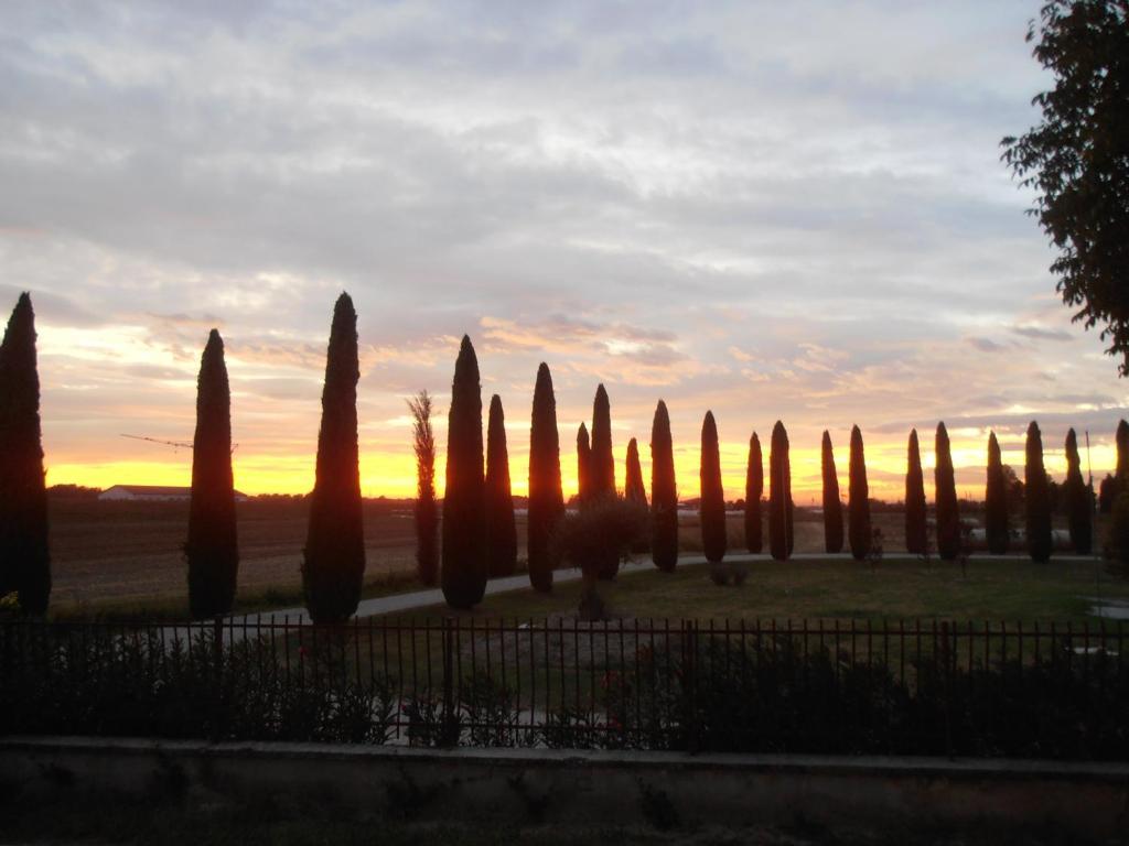 Bb Mambrotta Guest House San Martino Buon Albergo Exterior photo
